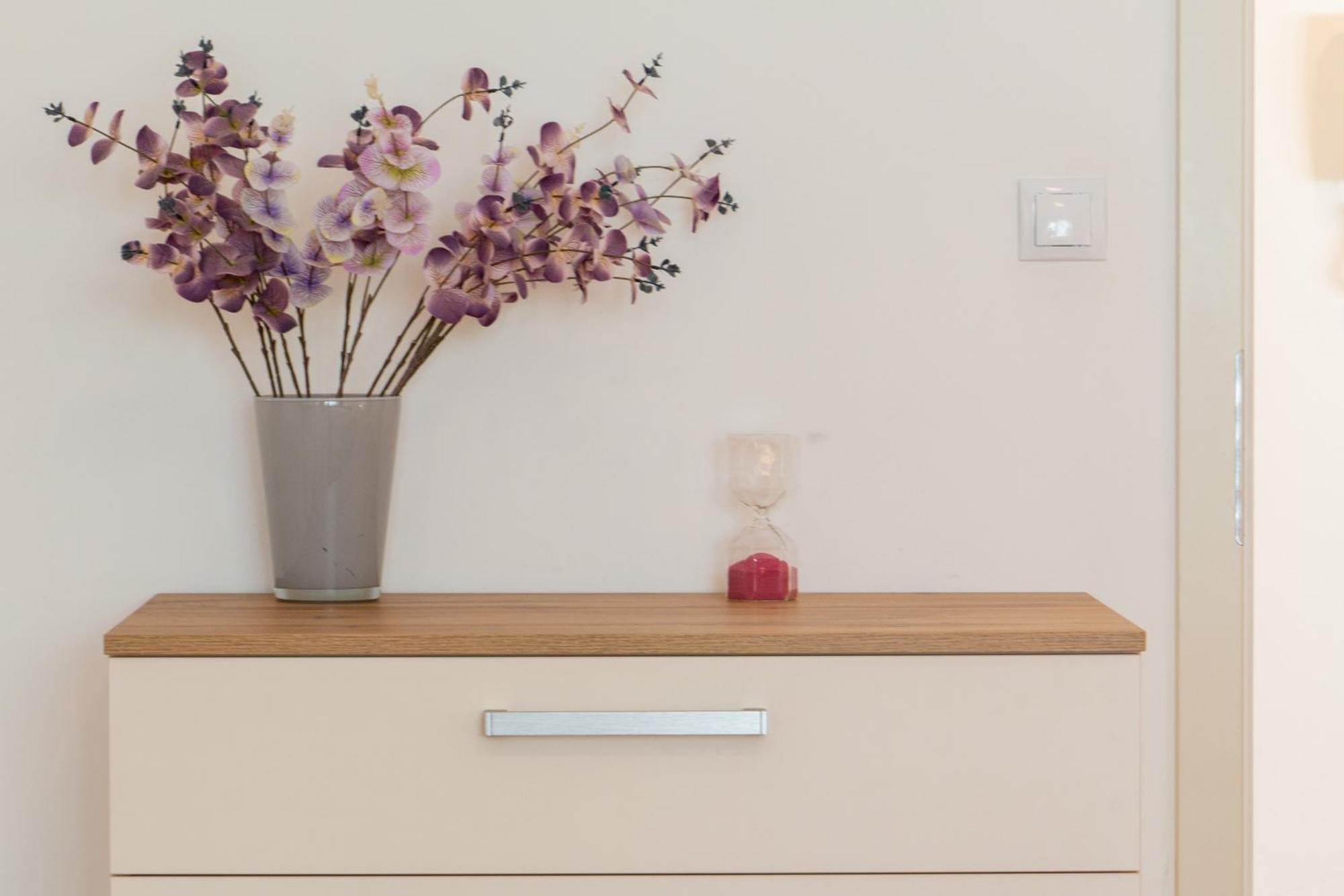 Krakovska Cr Apartments プラハ 部屋 写真