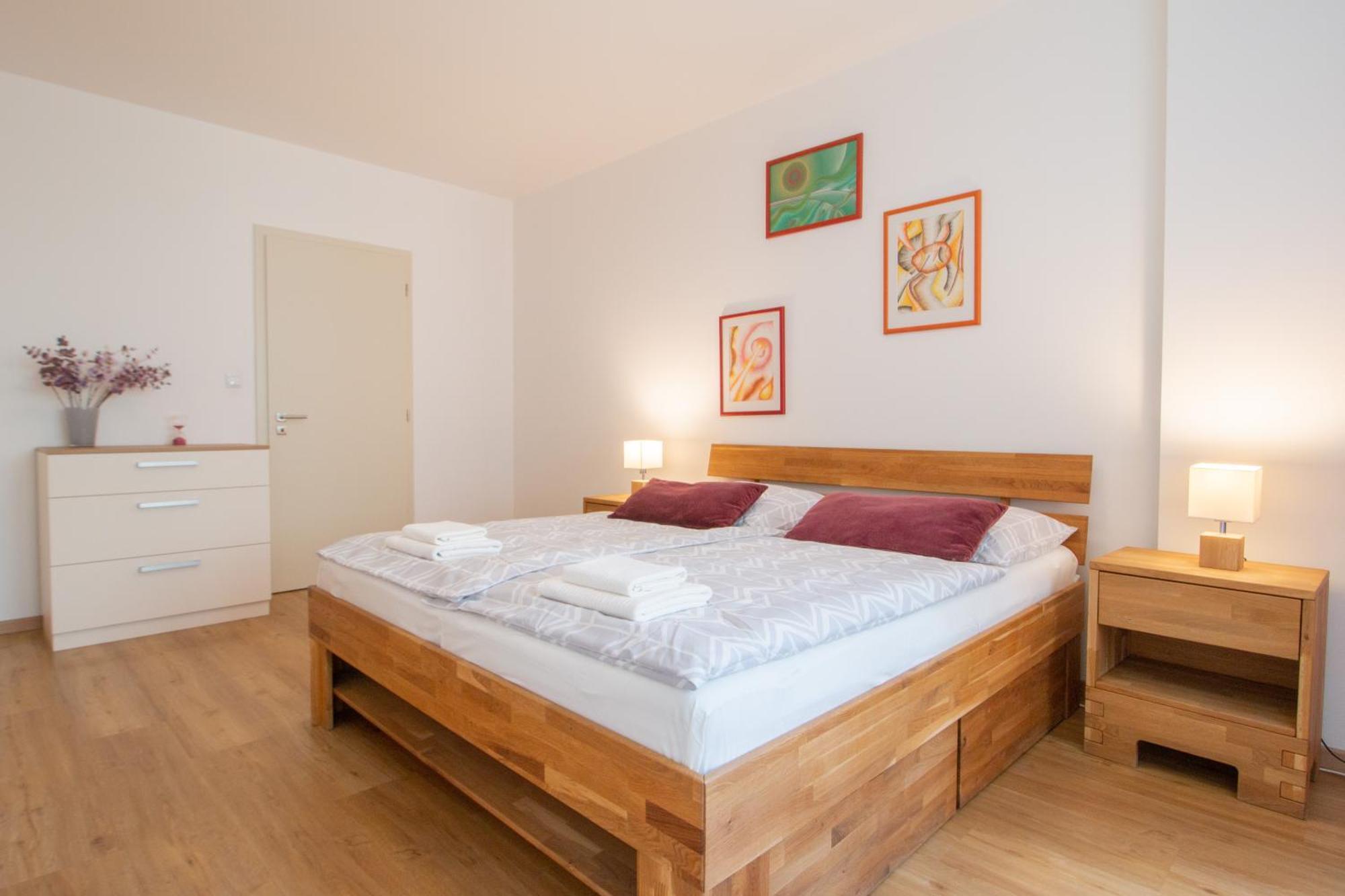 Krakovska Cr Apartments プラハ 部屋 写真