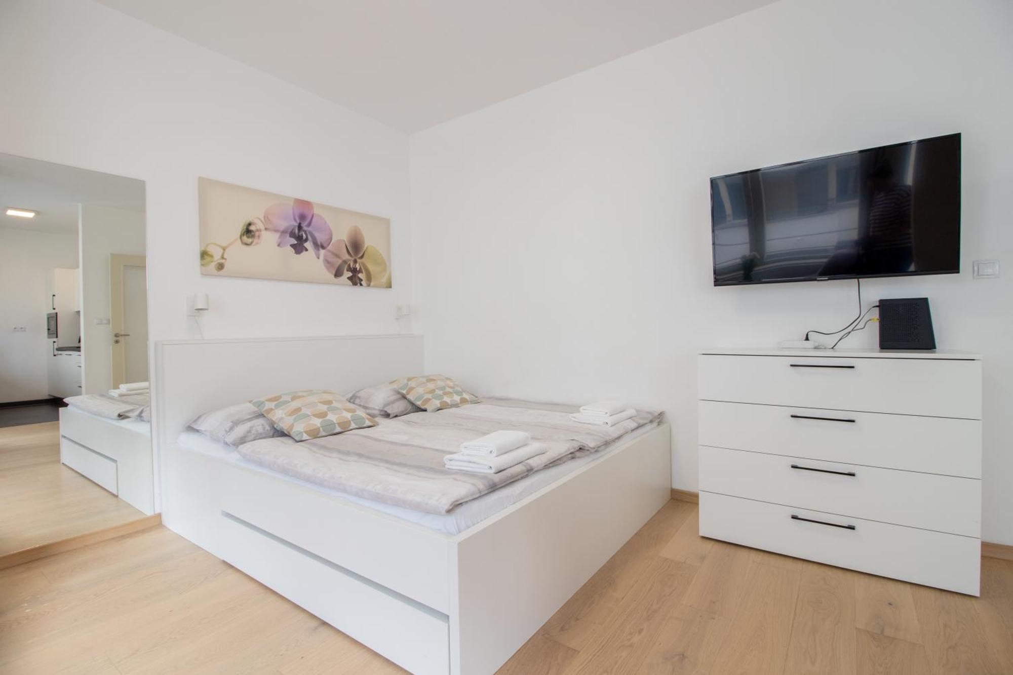 Krakovska Cr Apartments プラハ 部屋 写真